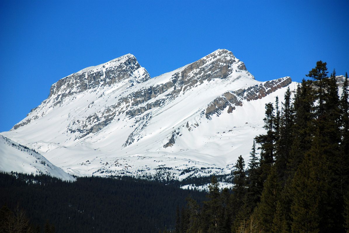 27 Watermelon Peak From Icefields Parkway